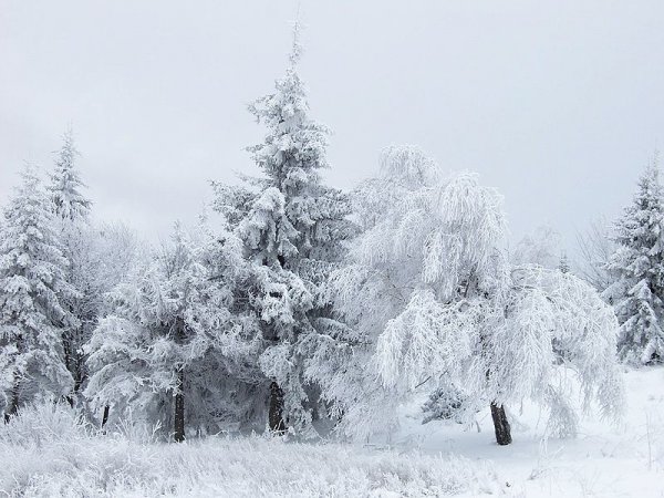 Ойрын өдрүүдэд нутгийн баруун өмнөд хэсгээр цас орж, зөөлөн цасан шуурга шуурч ихэнх нутгаар жиндүү хүйтэн байна