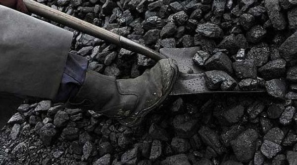 “Шарын гол” ХК нэг тонн нүүрсээ 49500 төгрөгөөр худалдаалж байна